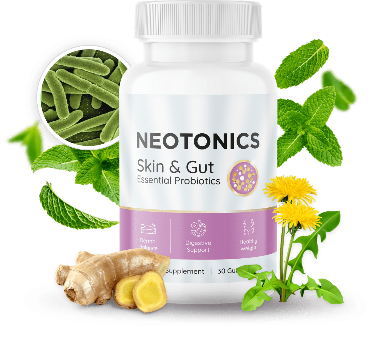 Neotonics supplement